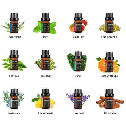 6/12/14/20Pcs Pure Essential Oils Natural Plant Aroma Essential Oil Diffuser Eucalyptus Vanilla Mint Eucalyptus Rose Tea TreeOil